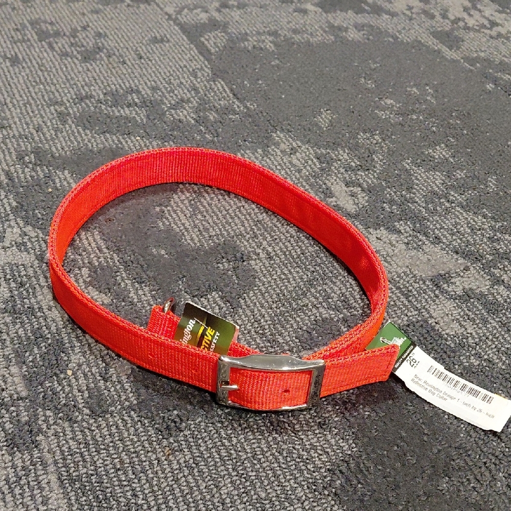Remington Orange Reflective Dog Collar